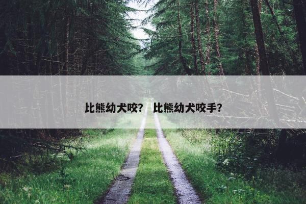 比熊幼犬咬? 比熊幼犬咬手?