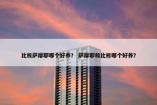 比熊 第10页