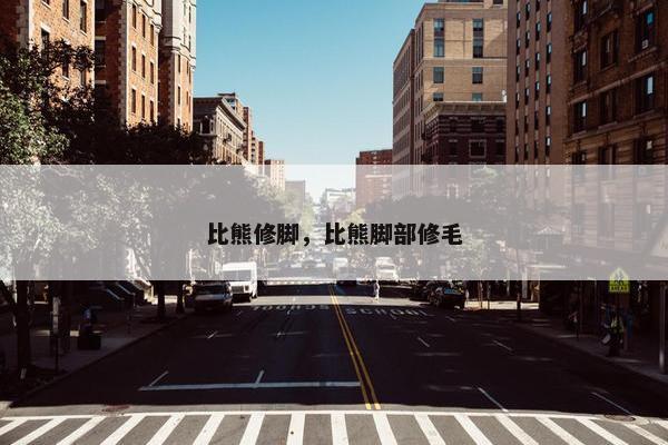 比熊修脚，比熊脚部修毛