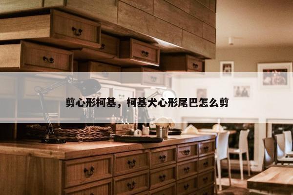 剪心形柯基,柯基犬心形尾巴怎么剪