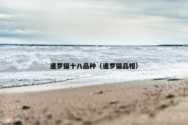 暹罗猫十八品种(暹罗猫品相)