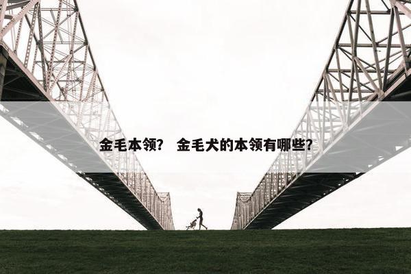 本领