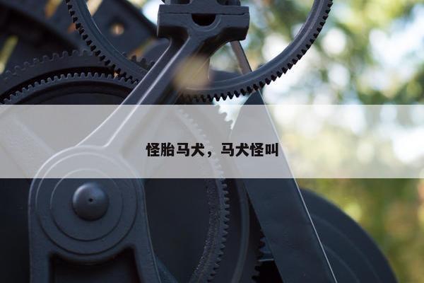 怪胎马犬，马犬怪叫