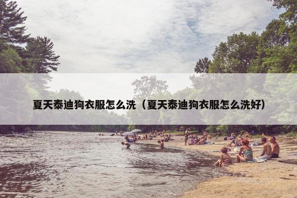 夏天泰迪狗衣服怎么洗（夏天泰迪狗衣服怎么洗好）