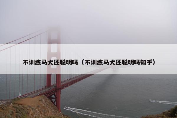 不训练马犬还聪明吗（不训练马犬还聪明吗知乎）
