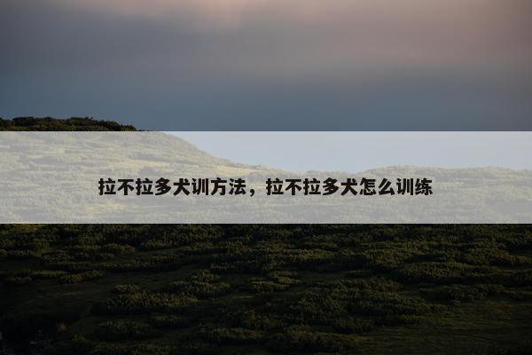 拉不拉多犬训方法，拉不拉多犬怎么训练