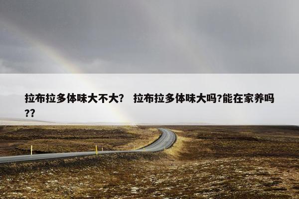 拉布拉多体味大不大？ 拉布拉多体味大吗?能在家养吗?？