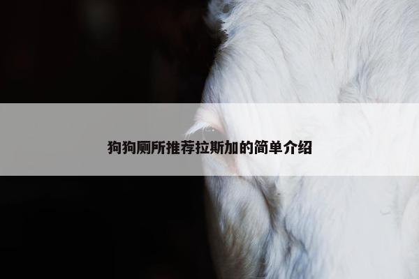 狗狗厕所推荐拉斯加的简单介绍