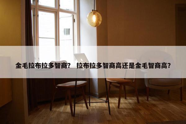 金毛拉布拉多智商？ 拉布拉多智商高还是金毛智商高？
