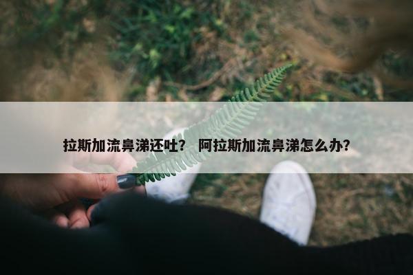 拉斯加流鼻涕还吐? 阿拉斯加流鼻涕怎么办?
