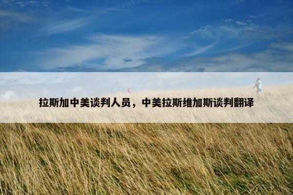 拉斯加中美谈判人员,中美拉斯维加斯谈判翻译