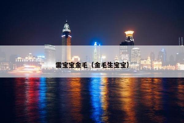 雷宝宝金毛（金毛生宝宝）
