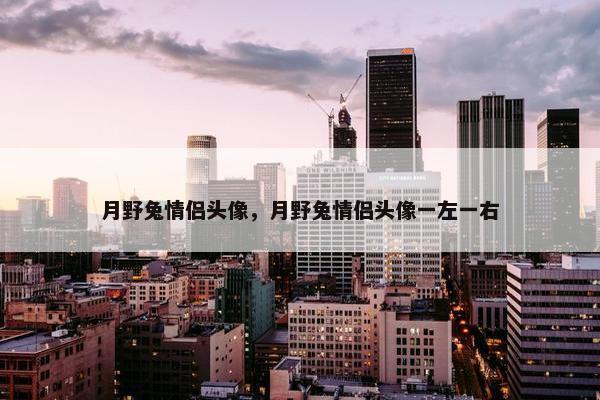 月野兔情侣头像，月野兔情侣头像一左一右