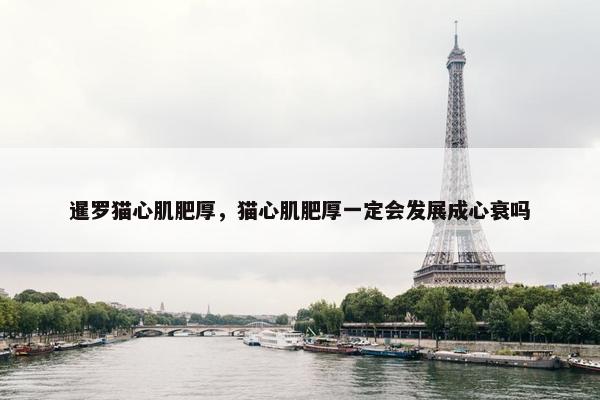 暹罗猫心肌肥厚,猫心肌肥厚一定会发展成心衰吗