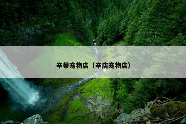 灌木丛