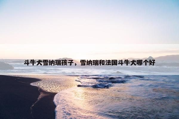 雪纳瑞 第9页