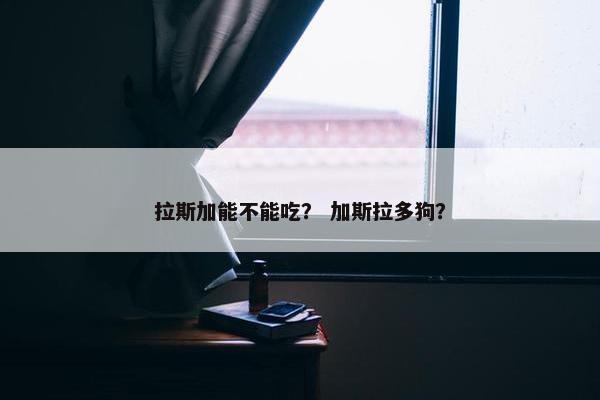 拉斯加能不能吃? 加斯拉多狗?