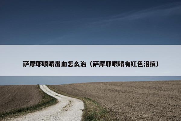 萨摩耶眼睛出血怎么治（萨摩耶眼睛有红色泪痕）