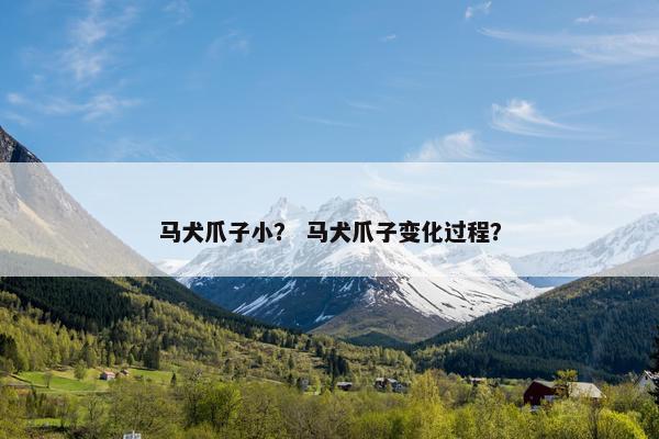 马犬爪子小？ 马犬爪子变化过程？