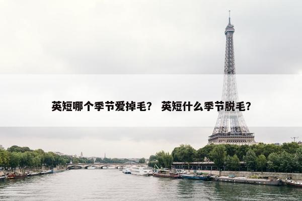 英短哪个季节爱掉毛？ 英短什么季节脱毛？