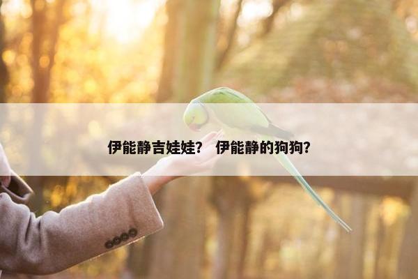 伊能静吉娃娃？ 伊能静的狗狗？