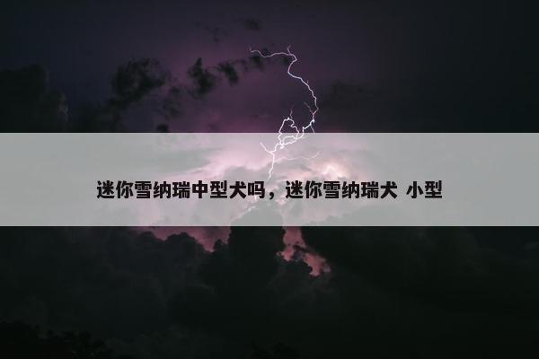 迷你雪纳瑞中型犬吗，迷你雪纳瑞犬 小型