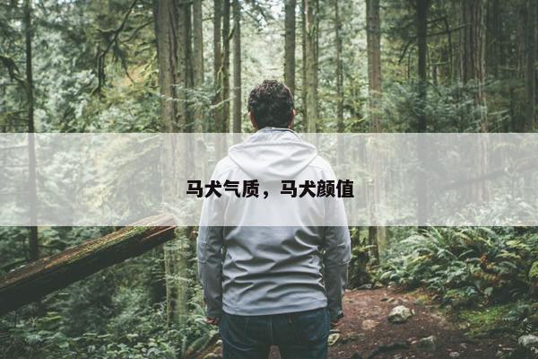 马犬气质，马犬颜值