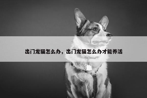 出门龙猫怎么办，出门龙猫怎么办才能养活