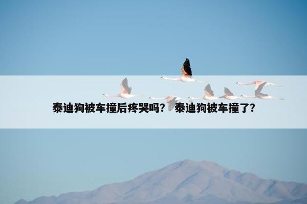 泰迪狗 第9页
