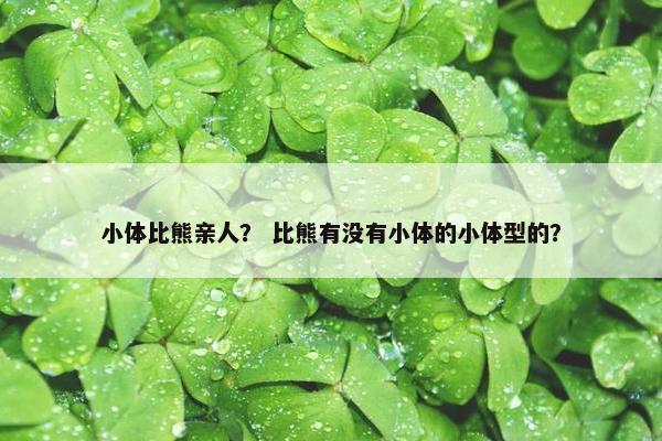 小体比熊亲人？ 比熊有没有小体的小体型的？