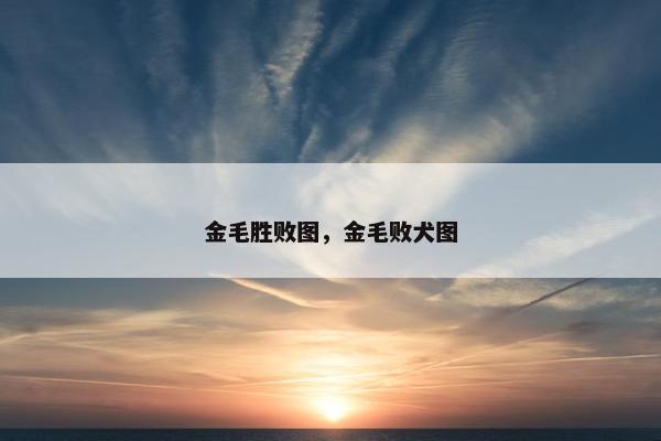 金毛胜败图，金毛败犬图