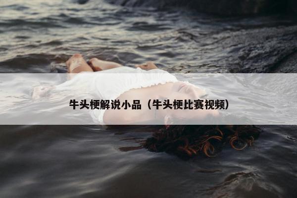 牛头梗解说小品（牛头梗比赛视频）