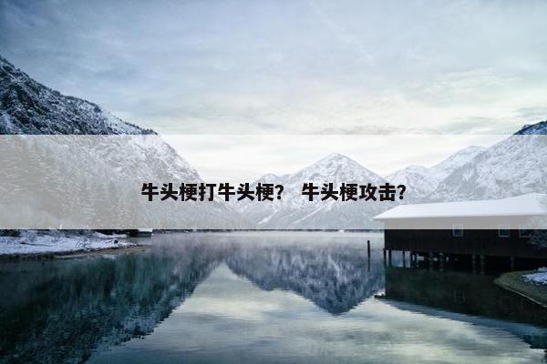 牛头梗打牛头梗？ 牛头梗攻击？