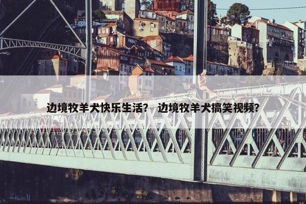 边境牧羊犬快乐生活？ 边境牧羊犬搞笑视频？