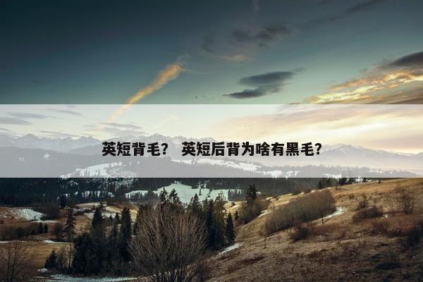 英短背毛？ 英短后背为啥有黑毛？