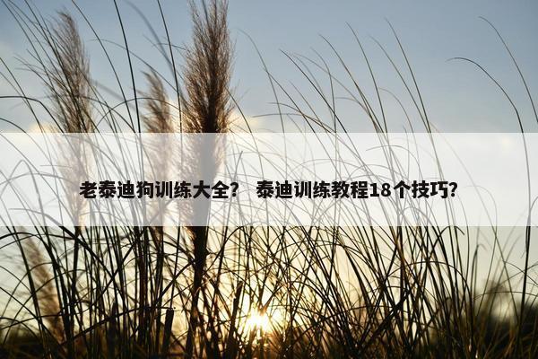 老泰迪狗训练大全？ 泰迪训练教程18个技巧？