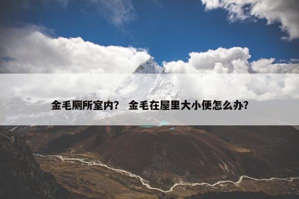 金毛厕所室内？ 金毛在屋里大小便怎么办？
