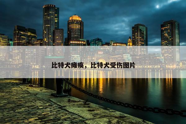 比特犬瘫痪，比特犬受伤图片