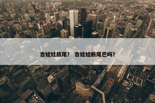吉娃娃截尾？ 吉娃娃断尾巴吗？
