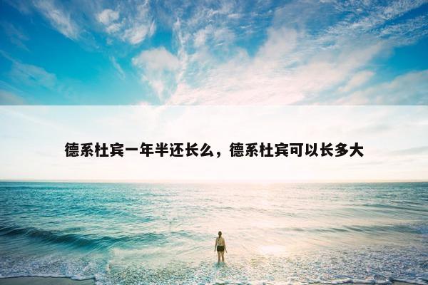 德系杜宾一年半还长么，德系杜宾可以长多大