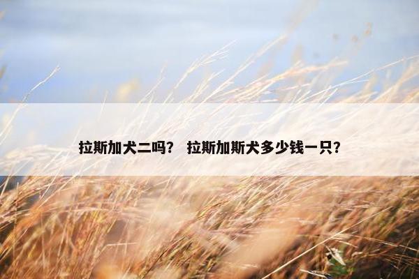 拉斯加犬二吗? 拉斯加斯犬多少钱一只?