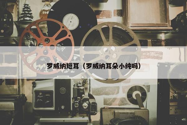 罗威纳短耳(罗威纳耳朵小纯吗)