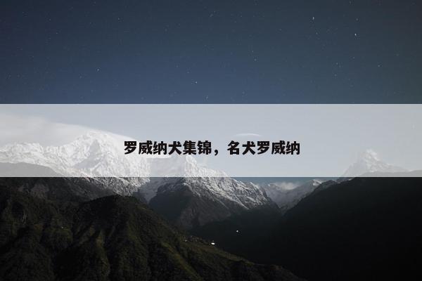 罗威纳犬集锦,名犬罗威纳