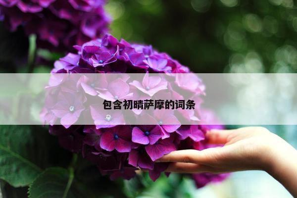 包含初晴萨摩的词条