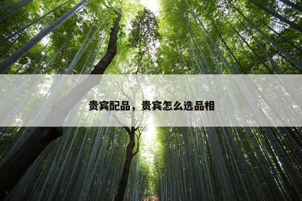 贵宾配品,贵宾怎么选品相