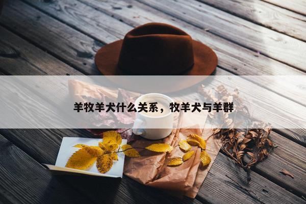 羊牧羊犬什么关系，牧羊犬与羊群