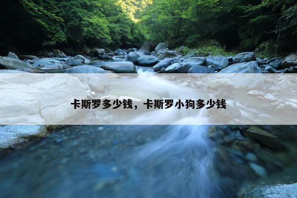 卡斯罗多少钱,卡斯罗小狗多少钱