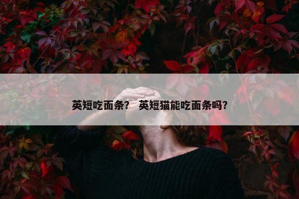 英短吃面条? 英短猫能吃面条吗?