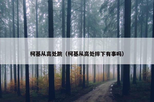 柯基从高处跳（柯基从高处摔下有事吗）