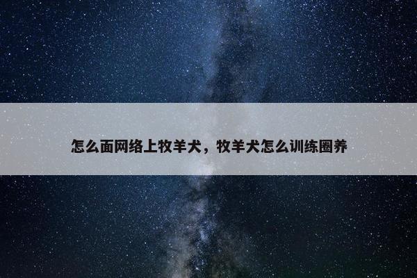 怎么面网络上牧羊犬，牧羊犬怎么训练圈养